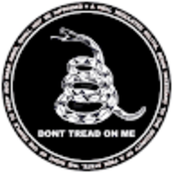 Meet your Posher, Ethan - Picture 1 of 1